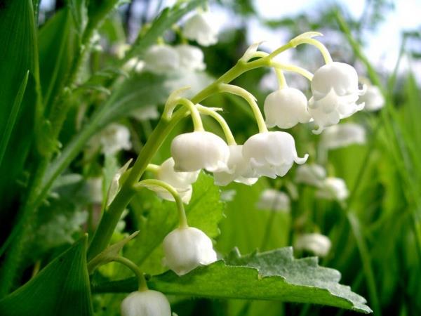 Майские выходные