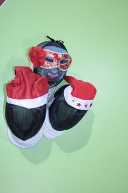 Новогодний семейный турнир на рапирах-пищалках!